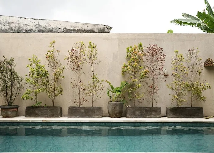 Spacious 4bdr With Pool, Rooftop & Bbq - Guests Favorite تْشانغو