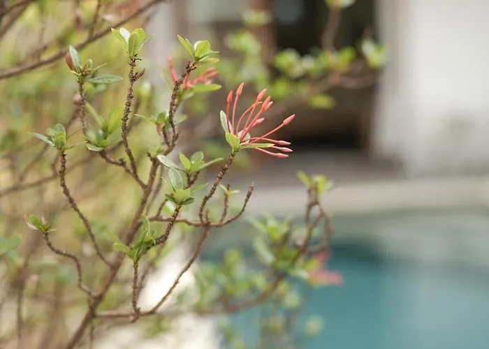 Spacious 4bdr With Pool, Rooftop & Bbq - Guests Favorite فيلة *